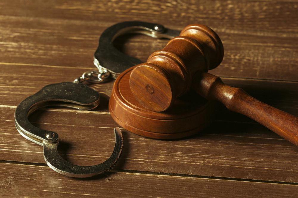 Direito Criminal - Brígida Macário Advocacia